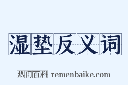 湿垫反义词是什么意思的图片